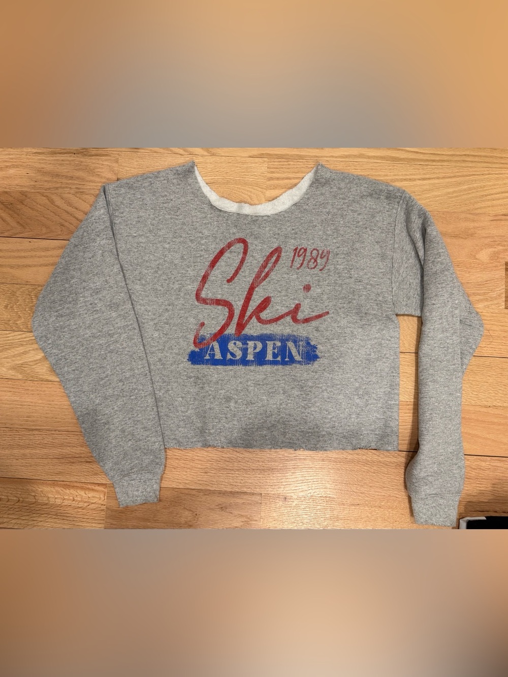 Like new Ski Aspen Grey Cropped Sweatshirt